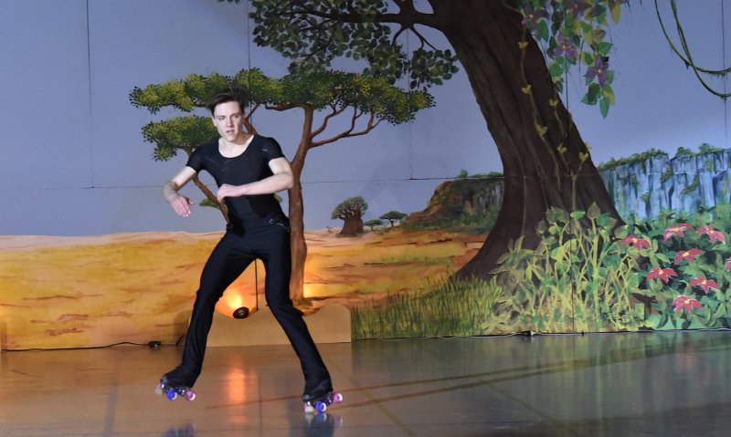 Lionking 0365.JPG